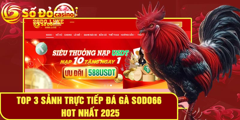 Top 3 sảnh trực tiếp đá gà SODO66 HOT nhất 2025