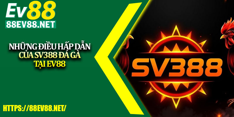 Những điều hấp dẫn của SV388 Đá Gà tại EV88 