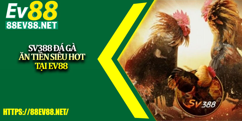 SV388 Đá Gà ăn tiền siêu hot tại EV88 