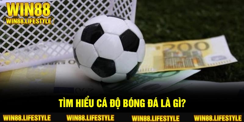 Tìm hiểu cá độ bóng đá là gì?